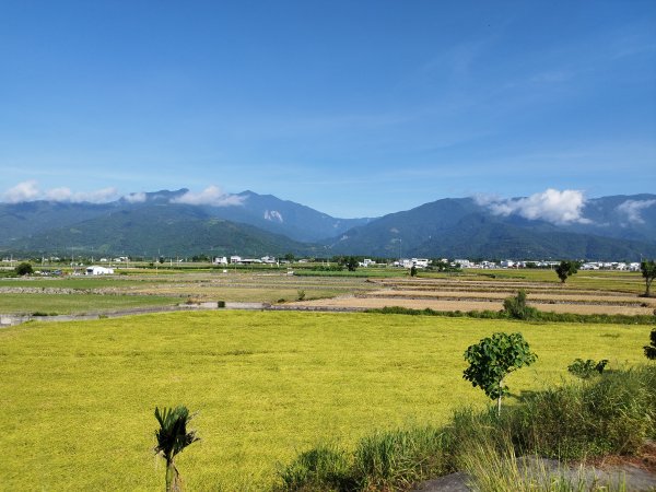 [台東鹿野][一]大埔尾、瑞和、永安、巴拉雅拜、鹿野衛生所、鹿寮橋