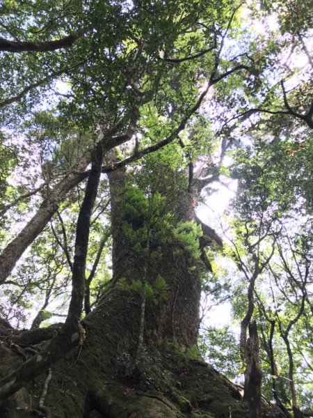 清泉霞喀羅大山959286