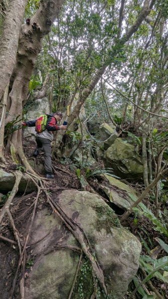 113.12.28小鷹尖-關山嶺-五八山-凌雲尖-龍女岩之旅2679375