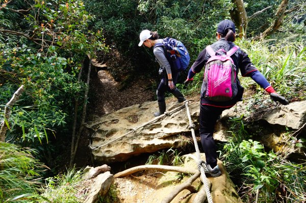親子健行-永定坑山連走皇帝殿連稜下石碇823159