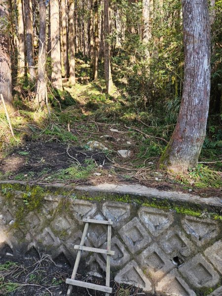 20250130三星山-三星池-翠峰湖-望洋山2702589