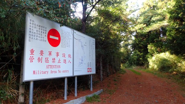 尋幽訪古遊走千年巨木和幻霧美森的樂山林道2882362