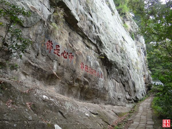 【苗栗】獅山古道+六寮古道(七星神木)