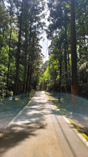 坪溪古道森林浴逍遙行封面