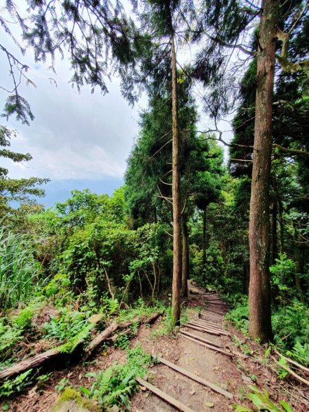 新竹民都有山，鵝公髻山，五指山，桃園赫威神木群步道，赫威山，高坡彩虹瀑布，苗栗山塘背步道，小北埔山1685641