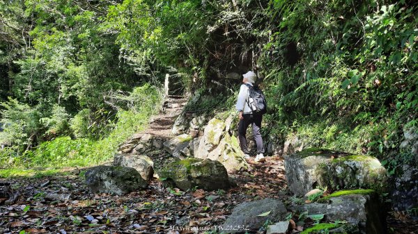 《新竹》遺世古堡｜尖石李崠山登山步道202507182841006