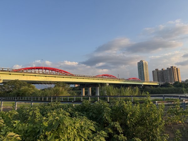 [2026臺北健走趣-08/50] 2026_0805_古亭河濱公園3110801