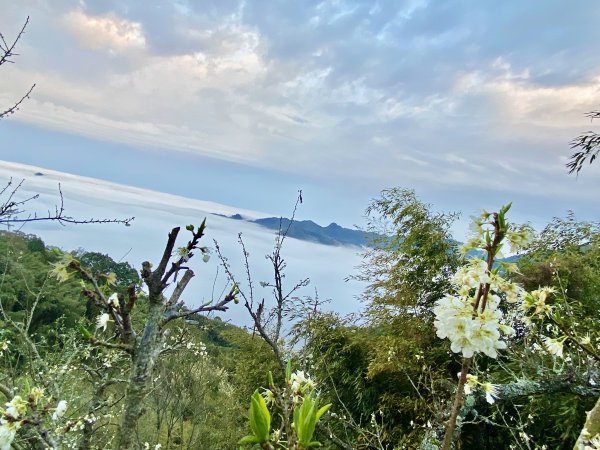 洗水山北峰.細道邦山(南峰)輕鬆撿--雲海花海看飽看滿   2022/2/101606997