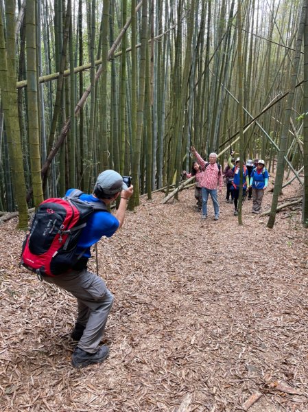 林相優美的臺中長壽山、肥崠山 - 鳶嘴西稜步道1357300