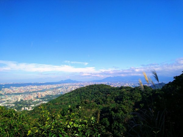 土城四秀O走（天上山小百岳）802478