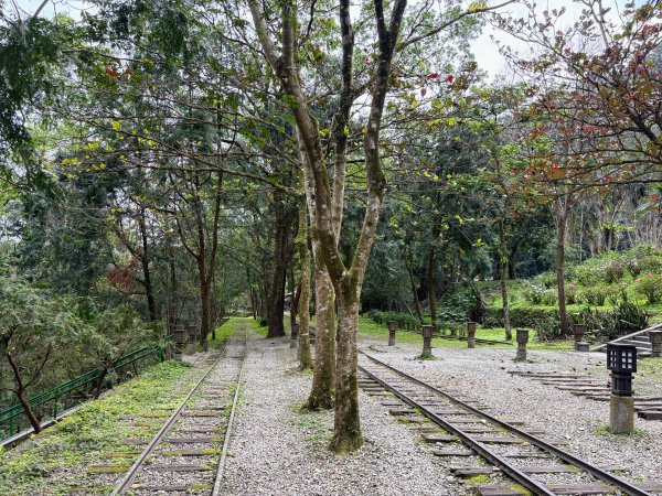 林田山林業文化園區2728254