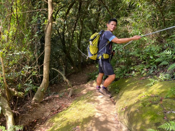 三峽-鳶山.彩壁.鳶尾山.鶯歌石【緊鄰山林的城市最幸福】1705202
