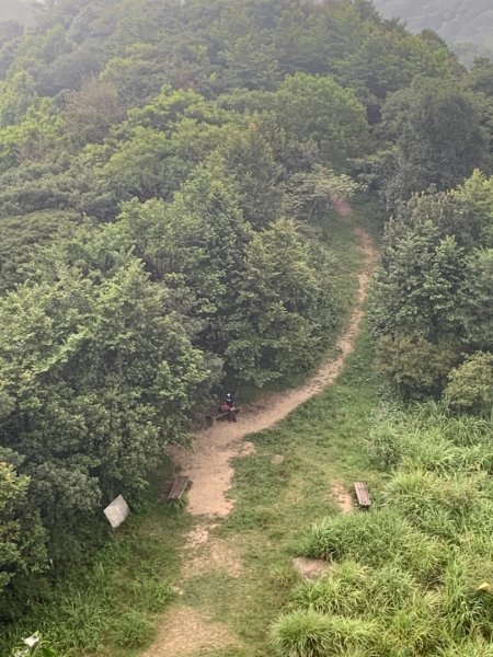 獅仔頭山/小百岳1453958