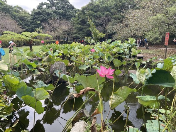 陽明山六瀑連走2877718