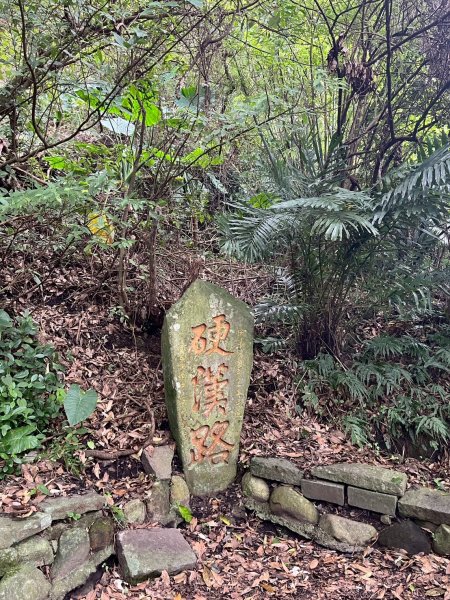 2025/7/23觀音山硬漢嶺2844616