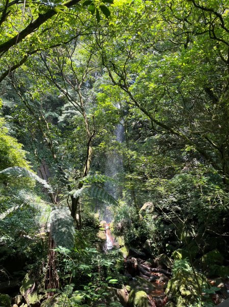 台北 陽明山 絹絲瀑布-擎天崗2722161