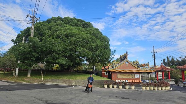 20251229龍潭大池自行車道-三林自行車道-名人棒球堂飯店-石門大草坪-林埤古道-石門水庫2974583