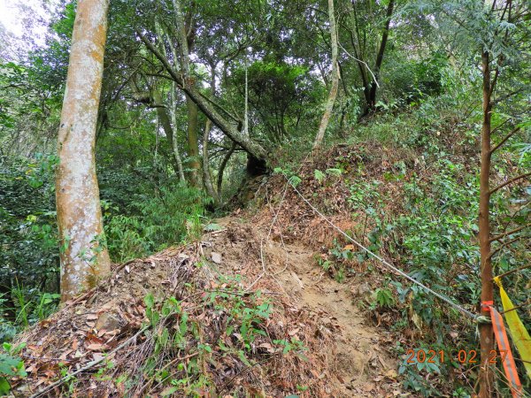 南投 埔里 舊武界越山、板仔寮山1286590