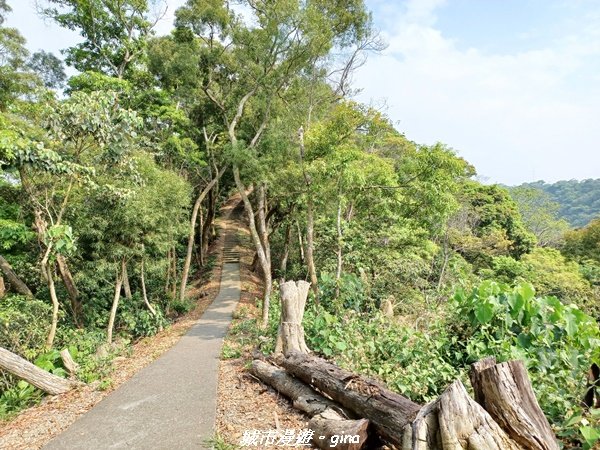 【彰化員林】綠樹林間散散步。 臥龍坡步道1691273