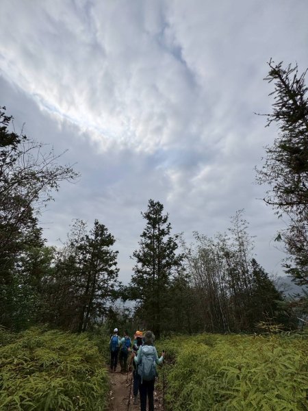 🌈3/29（六）巴蜈縱走~FB：熊熊趴爬走🌈2749797