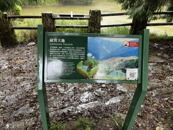 [玉山尋寶任務-02/12] 2025_0727 中之關、天池步道/南橫公路2847622