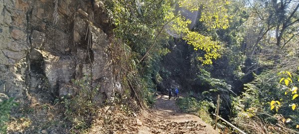 2025/01/30_白冷山步道2702108