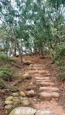 【苗栗三義】台灣百大必訪步道。 火炎山、南鞍古道O繞x火炎山下花海2954151