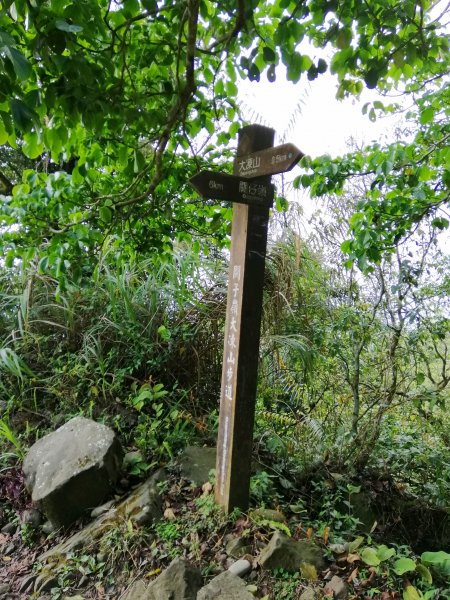 台南白河~台南第一高峰。 關仔嶺大凍山917819