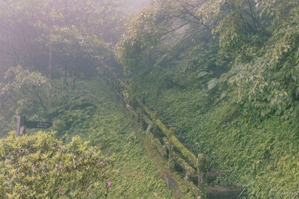 [新北]二格山2730210