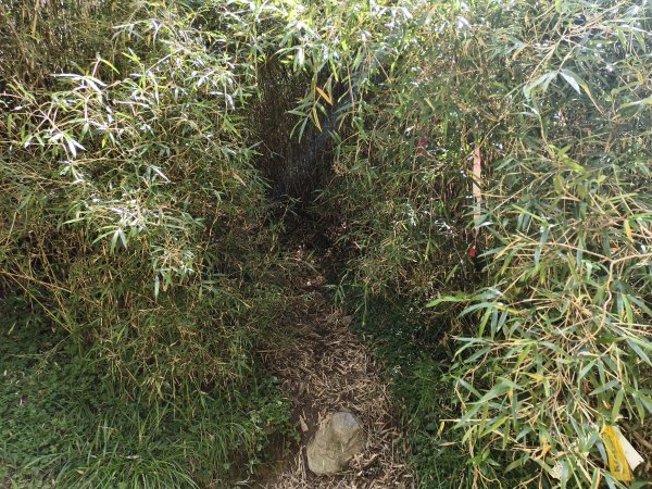 北一段(03/14)多加屯山 2025_0906~132885270