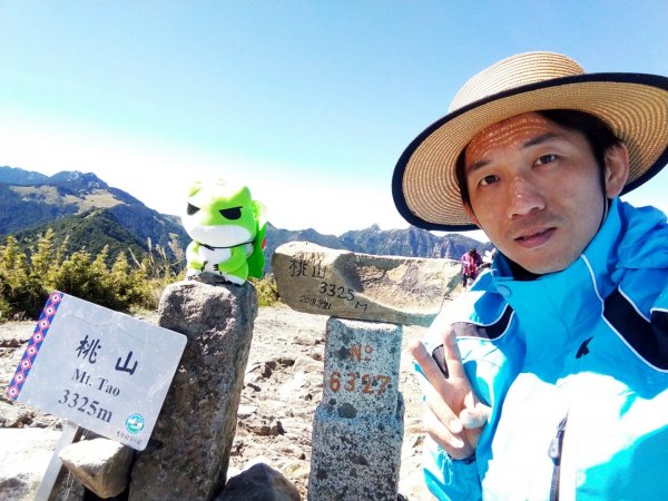 武陵四秀之桃山449052