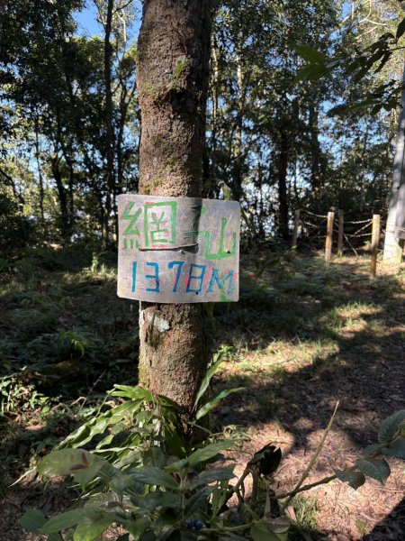 20251116鳴海山、網子山登山步道2938376