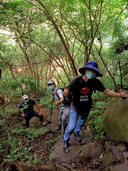 《暢遊天母翠峰瀑布、天母古道、下竹林山、玉稠湖山主峰&南峰》1445596