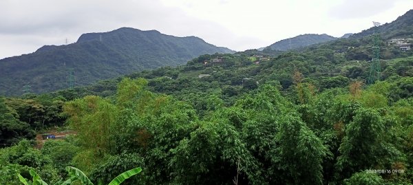 【臺北大縱走 7】樟山寺→樟樹步道→指南宮貓空親山步道→茶展中心步道→大成殿步道→指南宮竹柏參道2255475