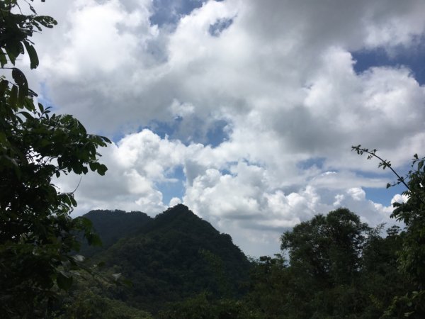 烏山縱走北段、風空子、烏山、孟璋山、刣牛湖山2307749