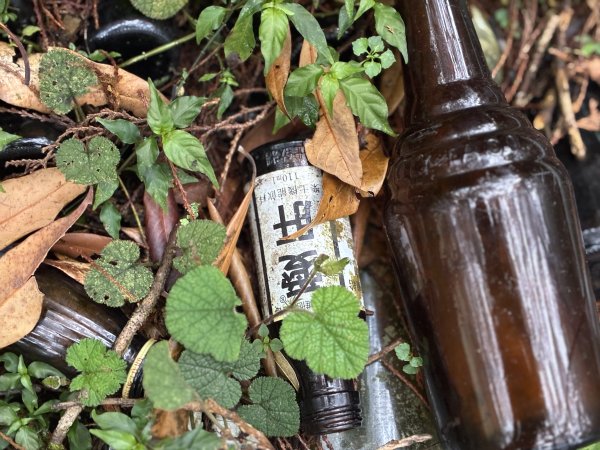 《走進人倫林道深處｜西巒大山三天兩夜・在森林裡慢慢前行》3085924