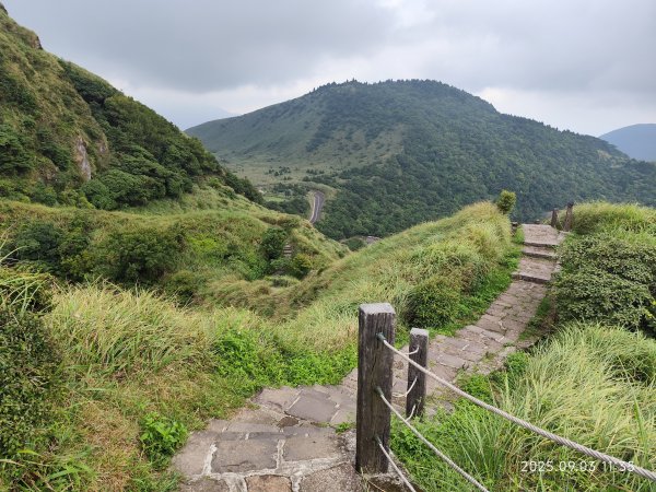 【臺北大縱走 2、3、4】冷水坑→七星山主東峰步道→冷擎步道→小油坑→鵝尾山→內湖許願步道2878898