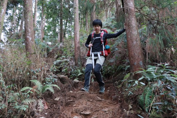 2020-12-12 八仙山1216309