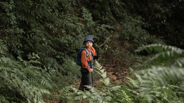 傳說中的「魔神仔洞」| 菁桐古道（汐止段＆平溪段）2721244