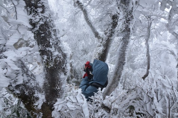  2021 D0101 純色北插1225504