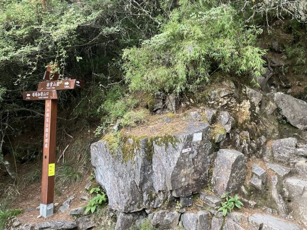 20251005 玉山前峰2906789