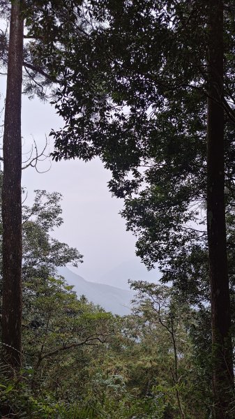 西巒大山2360222
