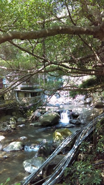 溪水潺涓的半嶺水圳步道、硫氣氤氳的龍鳳谷890880