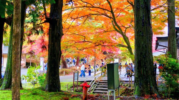 岩手縣中尊寺2930154