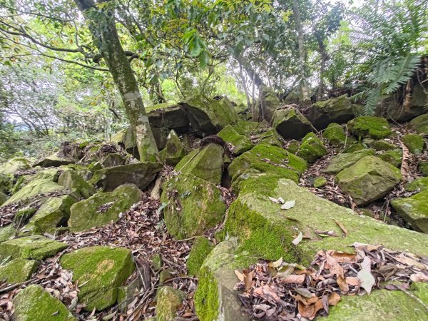 虱石山、岳亞那山連走岳亞那山西北峰、竹腳山2507242