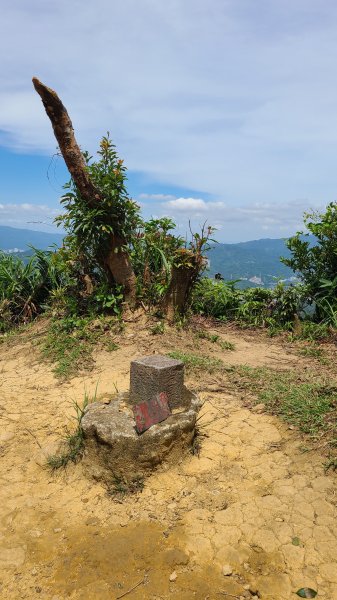 臺北文山-猴山岳2208197