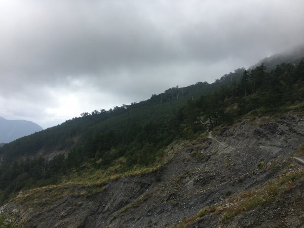 20161109-10_奇萊南華873704