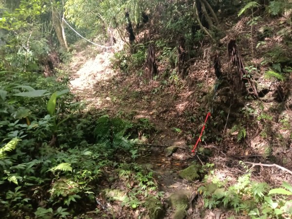 平溪區南山坪蝙蝠洞(濕洞)+平湖山+平湖尖+蝙蝠洞(乾洞)O型2833868