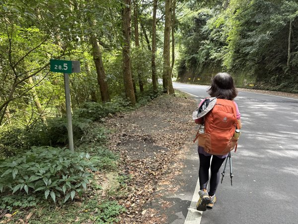 鳶嘴山+稍來神木 202508302873916