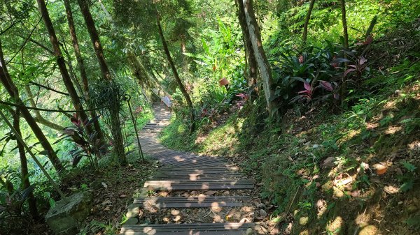 新店獅頭山步道1066637